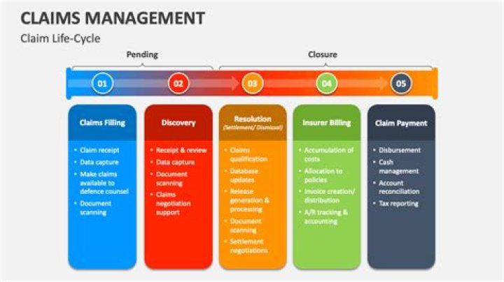 Claim Management in Life Insurance: Master PDF Guide