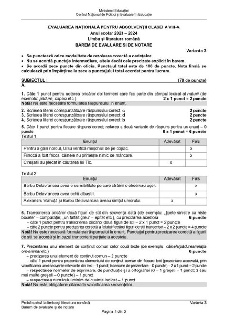 Clasa A Vi-a Testa Limba Română: Subiecte Rezolvare PDF Pronto Usabile