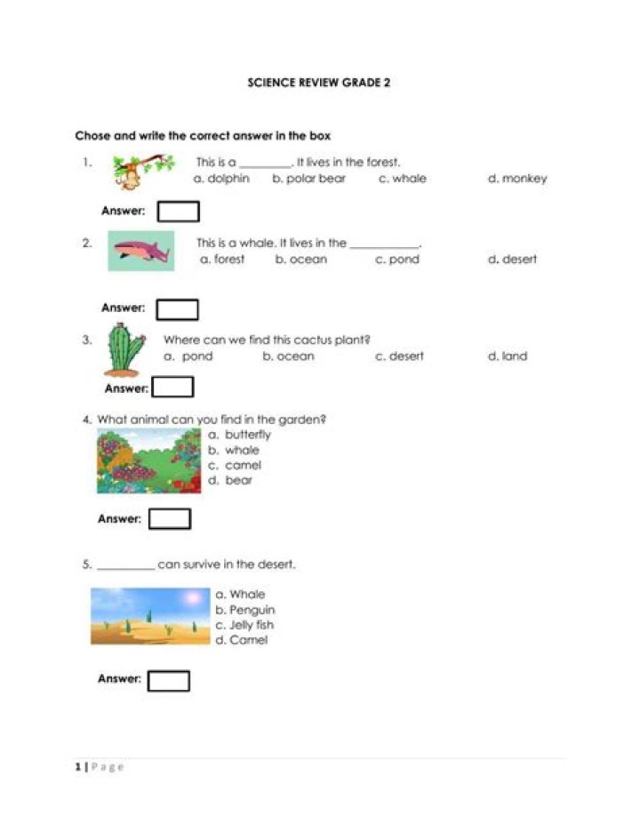 Class 2 Science Worksheets PDF – Free Downloadable Printable Activities
