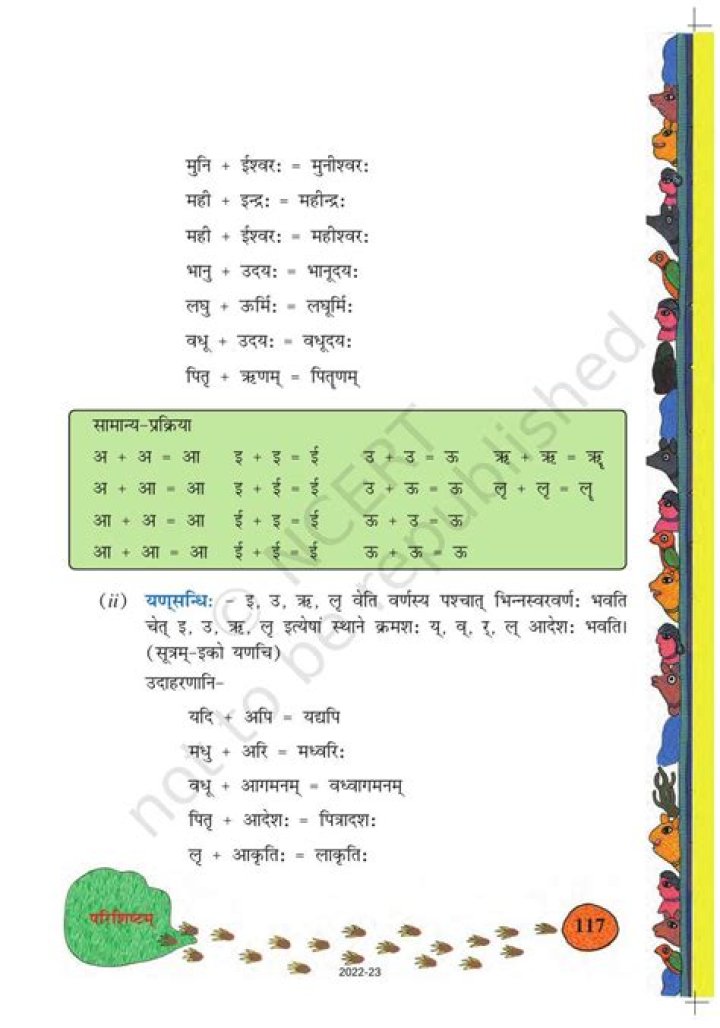 Class 5 Sanskrit Book PDF with Answers - Full Study Guide