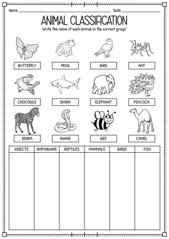 Classification of Animals Worksheet PDF for Kids