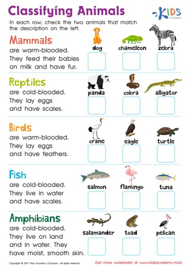Classifying Worksheets PDF: How to Sort and Organize Educational Materials