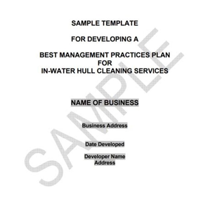 Free Cleaning Business Plan Template PDF – Start Your Business Fast