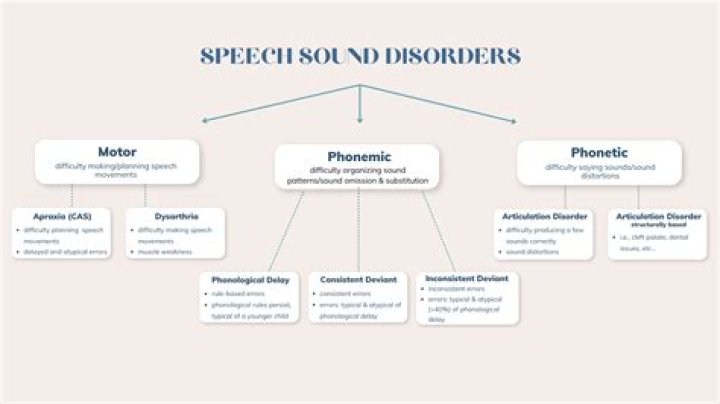 Clinical Management of Articulatory and Phonological Disorders: A Comprehensive PDF Guide