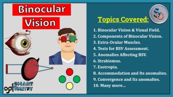 Free PDF Guide to Clinical Management of Binocular Vision