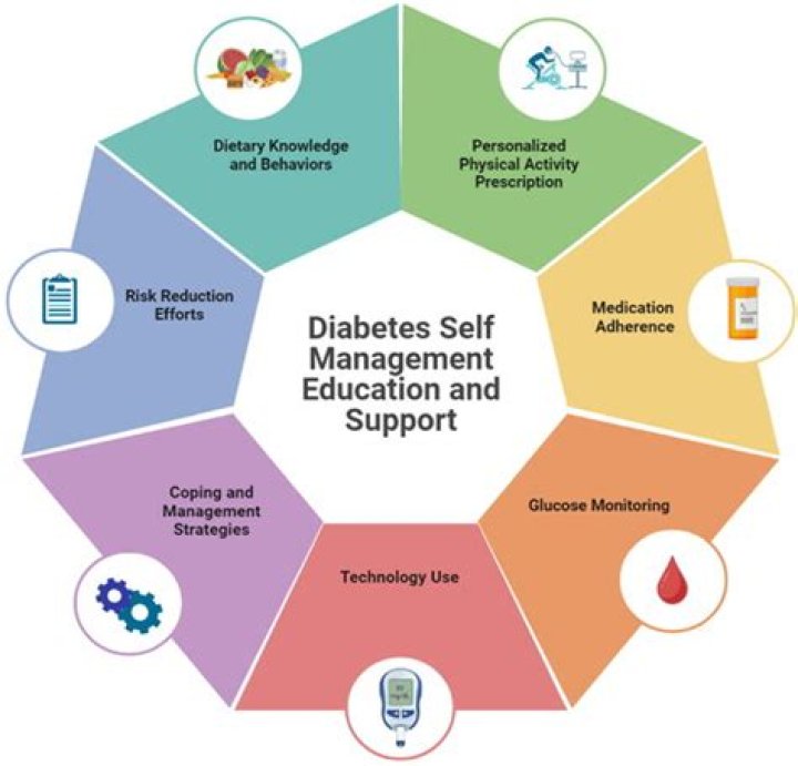 Clinical Standards for Diabetes Self-Management Education 2018: Essential PDF Guide