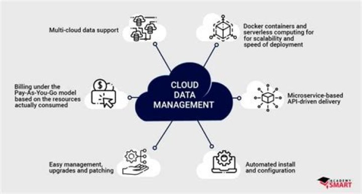Cloud Computing Information Management Systems: Expert PDF Guides & Articles