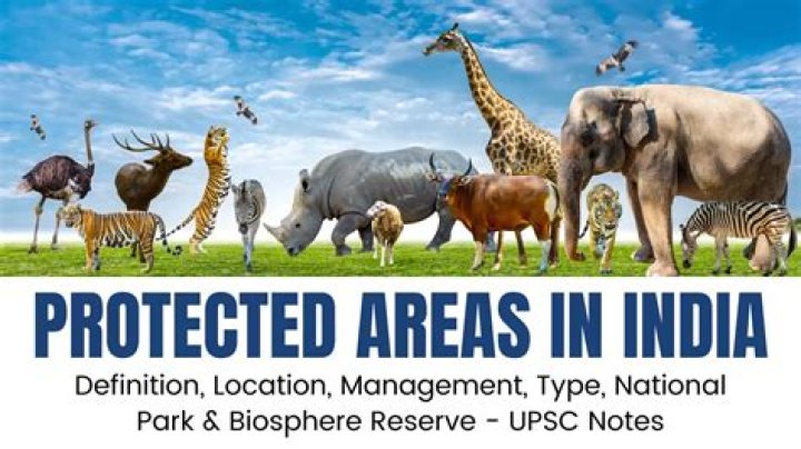 Co-Management of Protected Areas: Key Insights from the PDF
