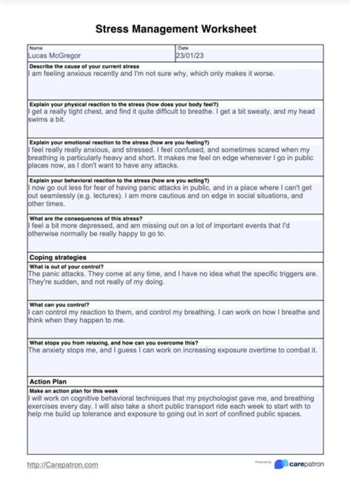 Coach Client Program for Stress Management PDF: Transform Stress into Strength