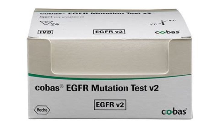 Cobas EGFR Mutation Test V2 PDF Results & Interpretation