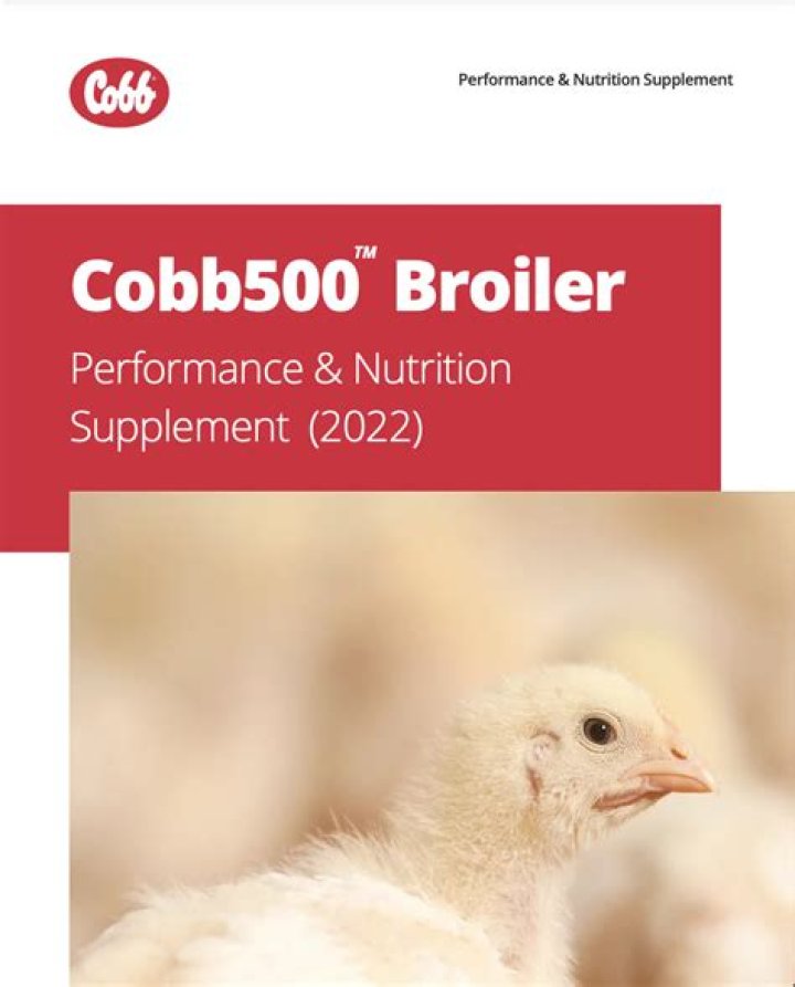 Cobb 500 Breeder Management Guide 2018 PDF – Expert Breeding Strategies