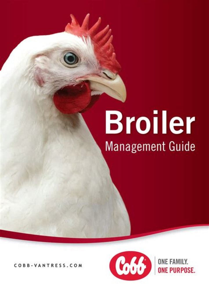 Cobb Broiler Management Guide 2020 PDF: Expert Care & Production Tips