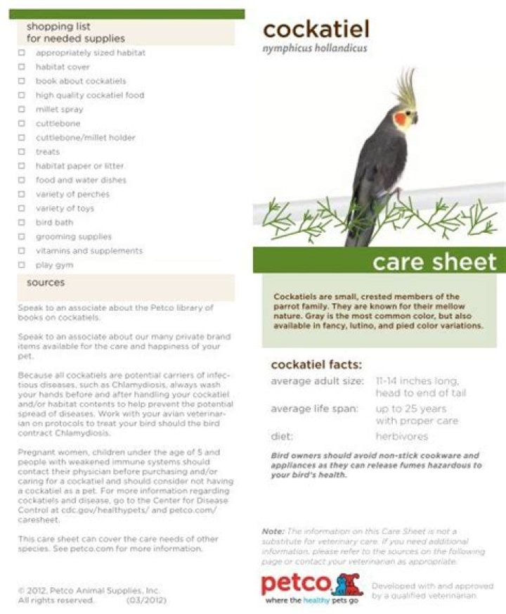 Cockatiel Care Sheet PDF: Essential Guide for Healthy Birds