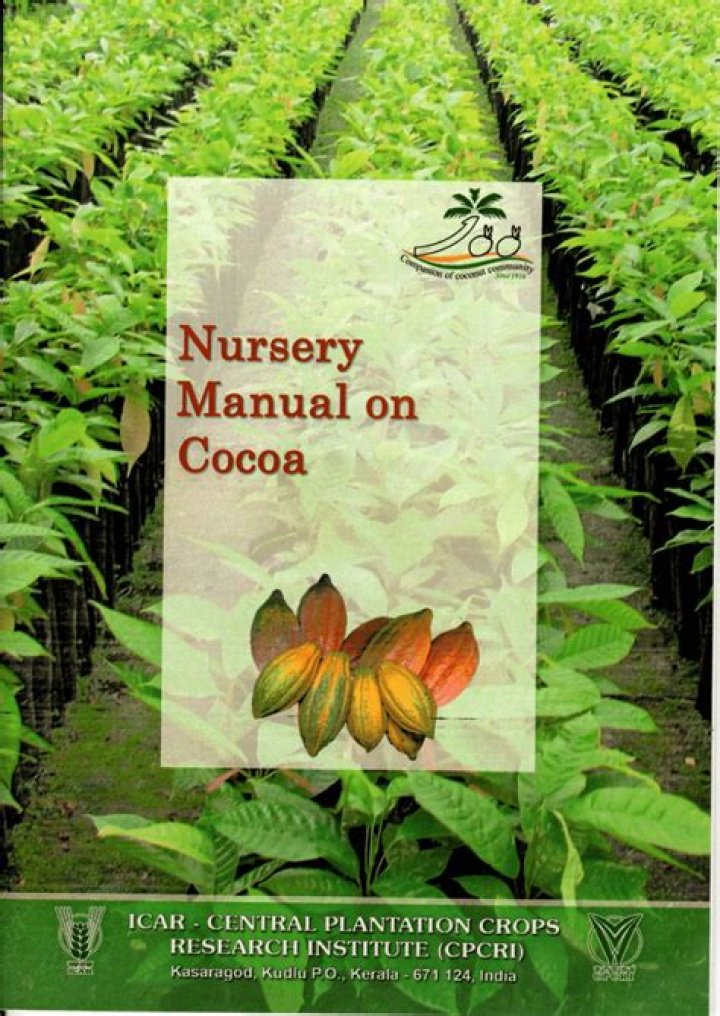 Cocoa Nursery Management PDF: Expert Guide for Successful Cultivation