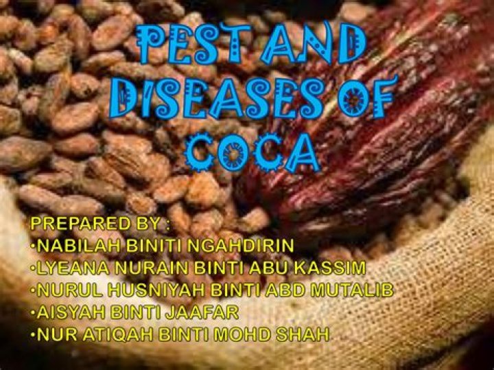 Cocoa Pest and Disease Management PDF: Expert Guide