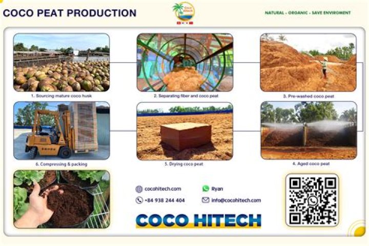 Cocopeat Business Plan PDF: Grow Your Soil Business Today