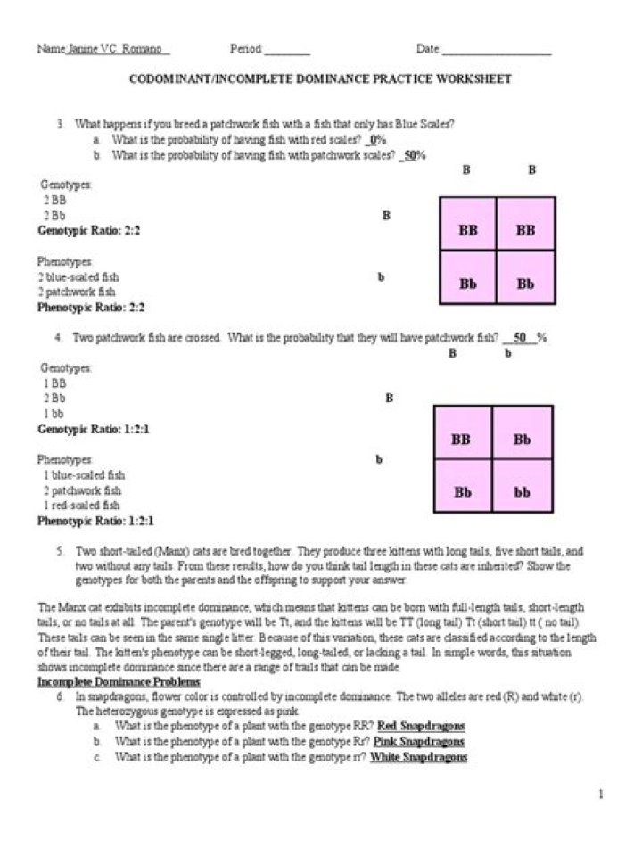 Codominance Worksheet PDF – Free Educational Guide & Practice Problems