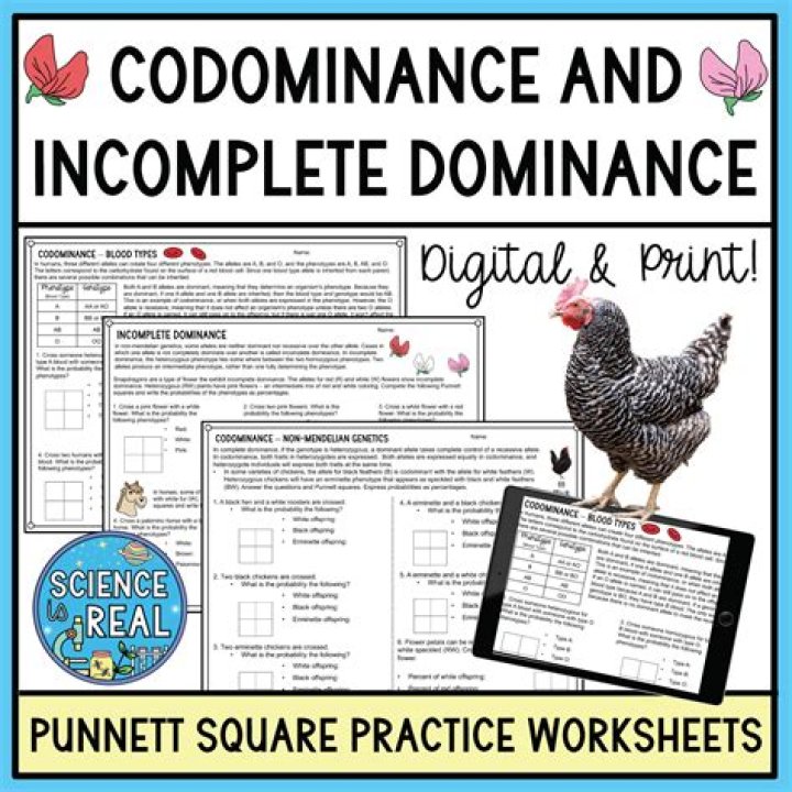 Codominant and Incomplete Dominance Practice Worksheet Answer Key PDF