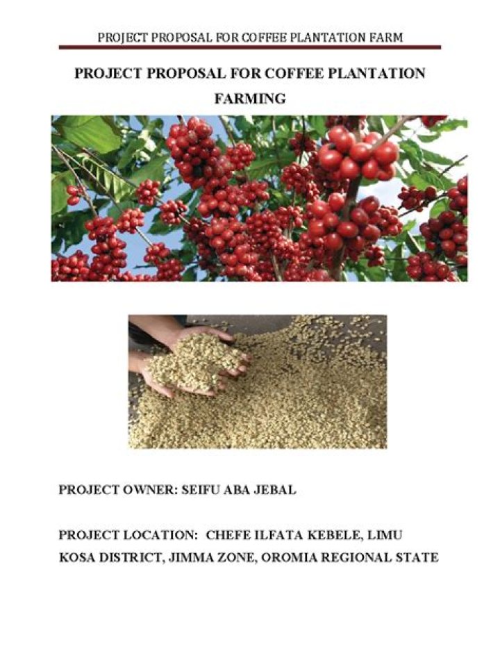 Build Your Coffee Farm Business Plan: Free PDF Template