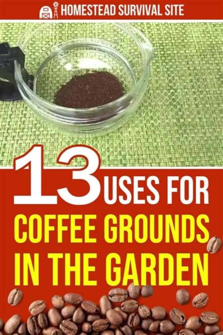 Coffee Grounds in the Garden: The Ultimate Fact Sheet PDF