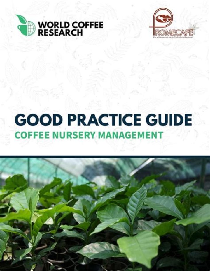 Master Coffee Nursery Management: Essential PDF Guide