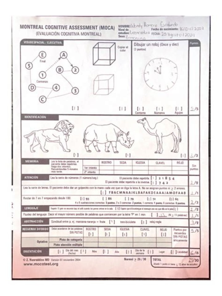Free Cognitive Competency Test PDF: Measure Your Critical Thinking Skills