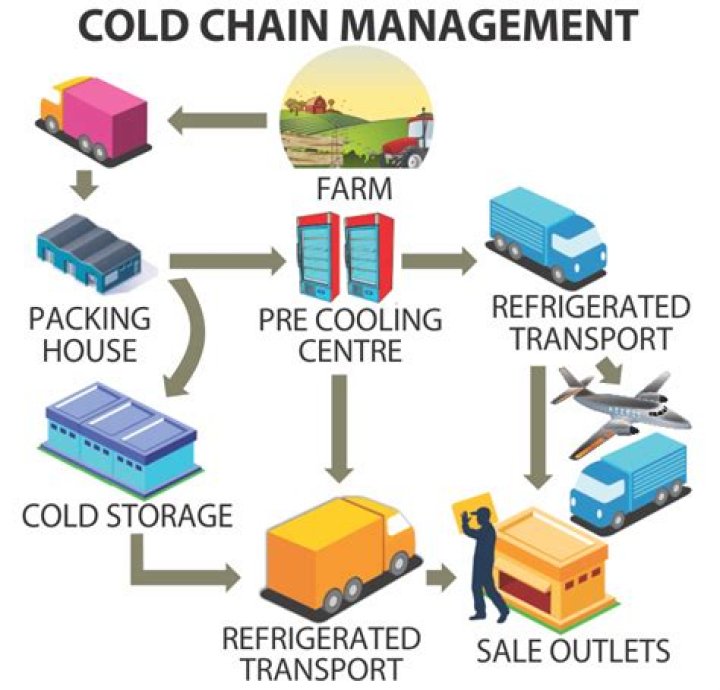 Mastering Cold Chain Management for Fruits and Vegetables: Essential PDF Guide
