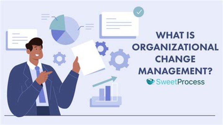 Colette Pine and Wesson’s Guide to Organizational Management: Key Insights PDF