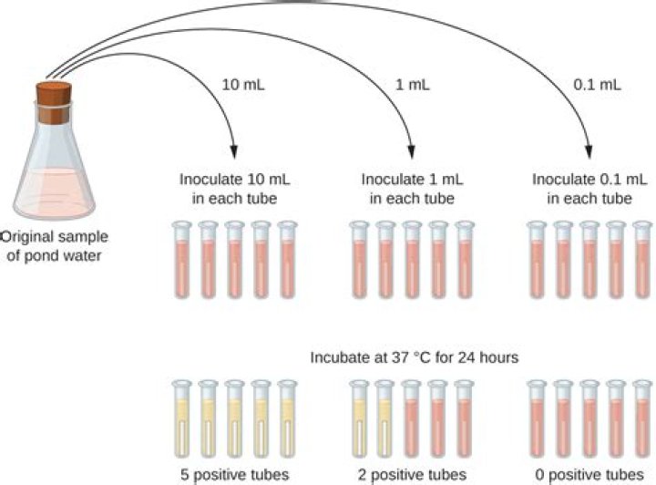 Coliform Test Procedure PDF: Step-by-Step Guide for Accurate Water Testing