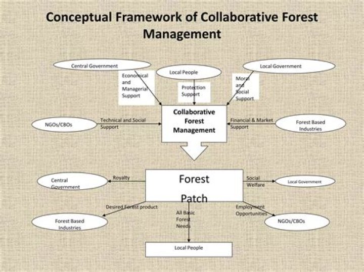 Collaborative Forest Management PDF: Key Strategies and Benefits