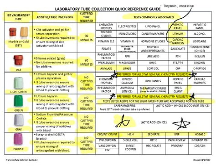 Essential Collection Tube List for Laboratory Tests – PDF Guide