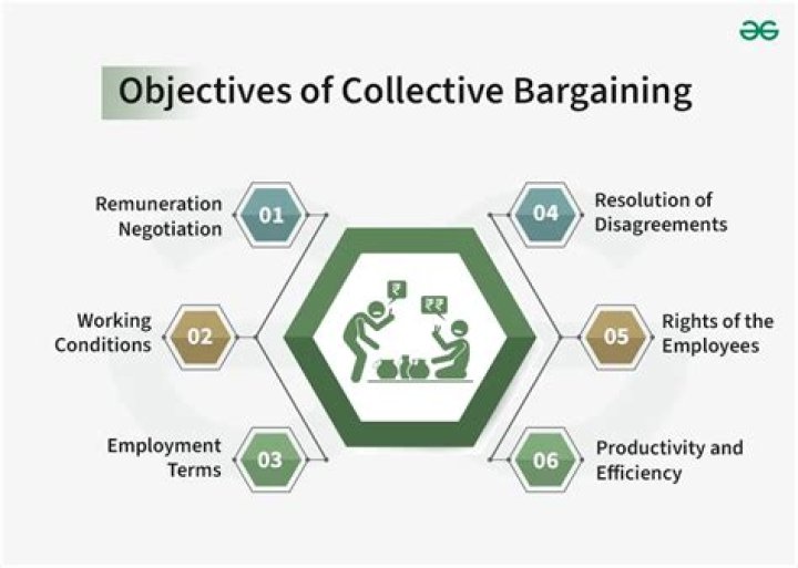 Collective Bargaining and Workers' Participation in Management: A PDF Guide