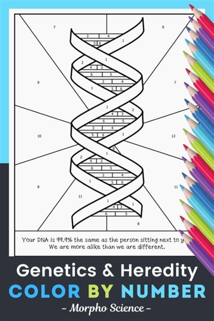 Color by Number Genetics & Heredity Answer Key PDF: Study Guide & Answer Key