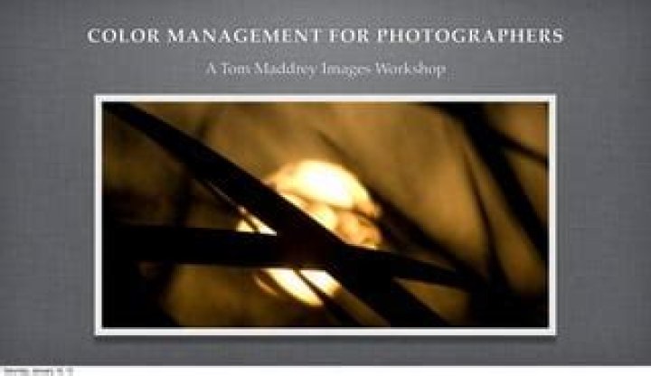 Master Color Management for Photographers: Essential PDF Guide