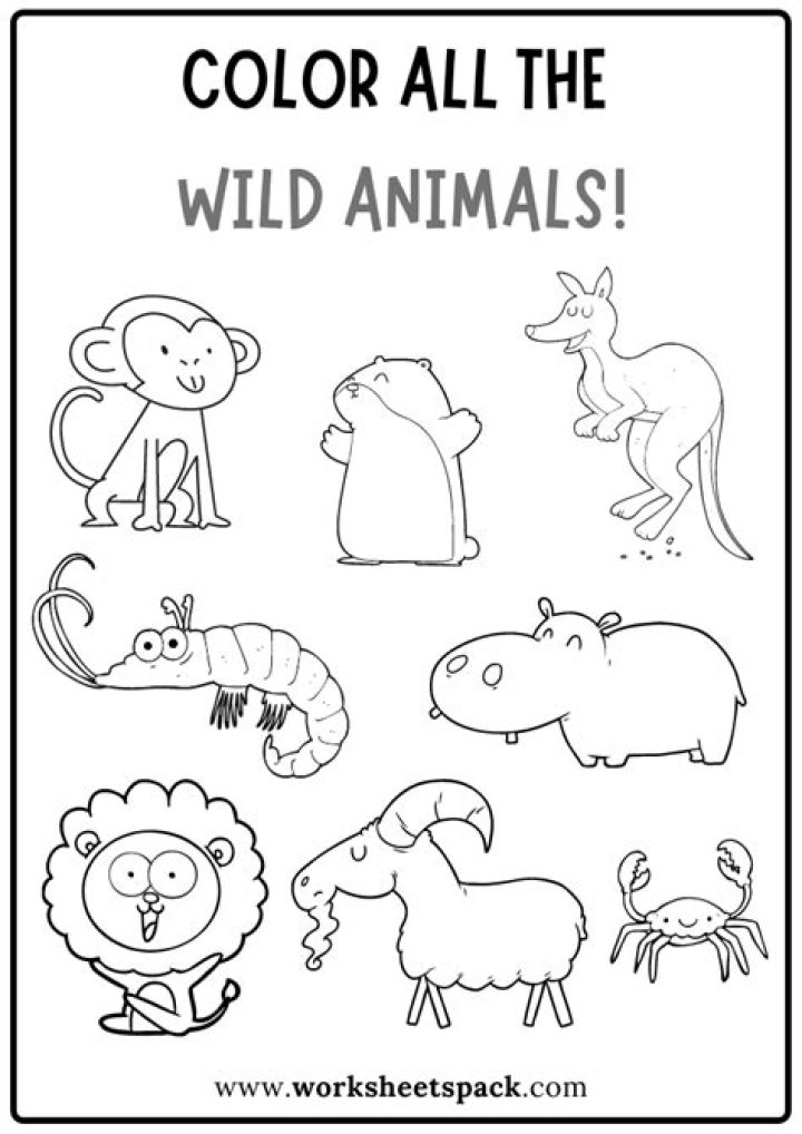 Color Animals Coloring Worksheets PDF – Printable Kids Activity