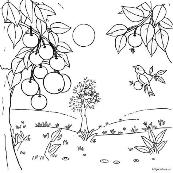 Free Coloring Fruits Worksheets PDF for Kids – Instant Download