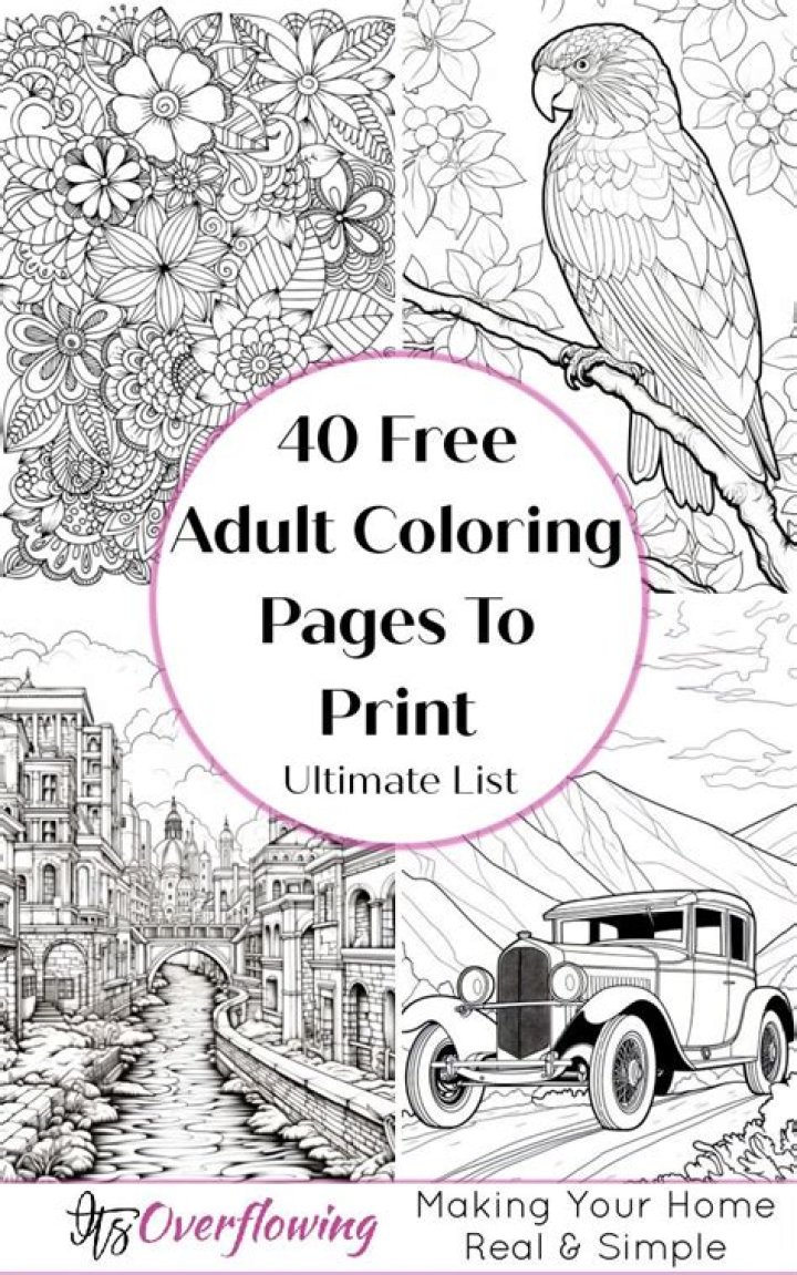 Relaxing Adult Coloring Sheets for Adults PDF – Download Free Printable Sheets