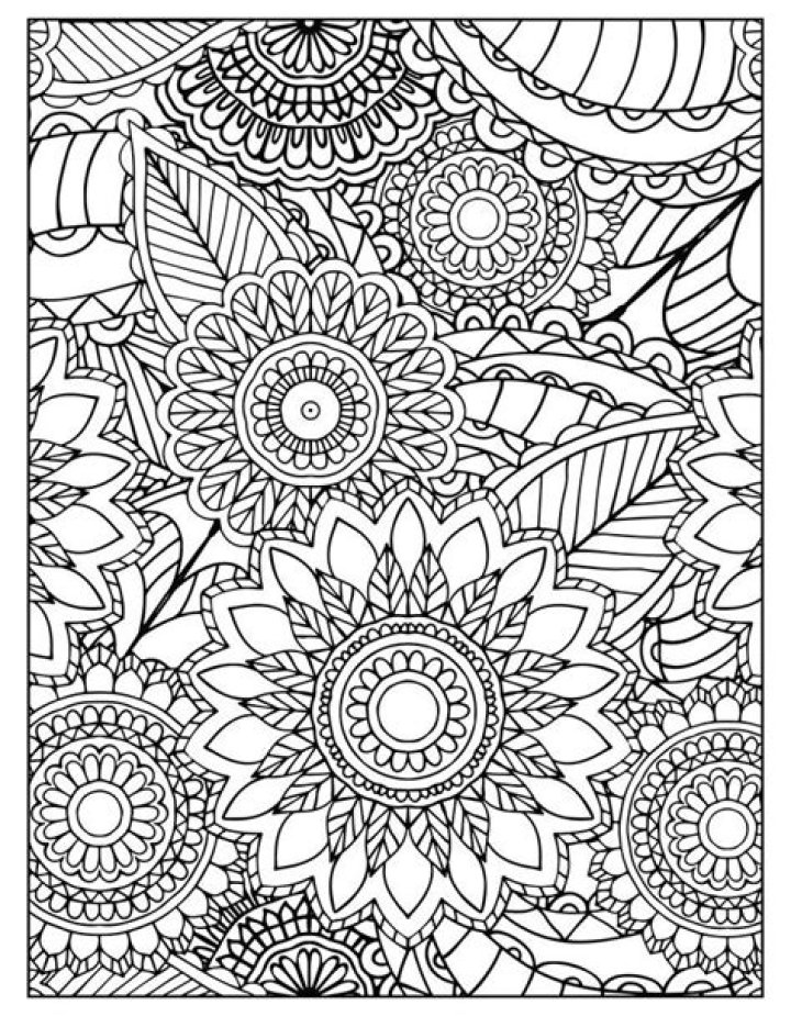 Free High School Coloring Sheets PDF – Relax & Focus with Creative Art