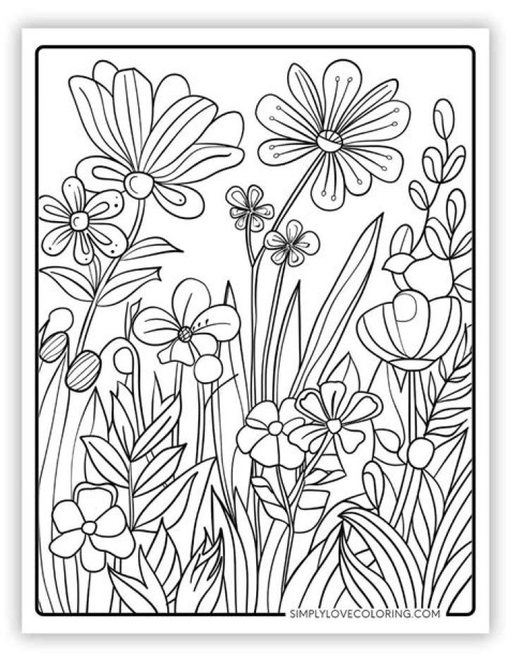 Stress-Relief Coloring Worksheets for Adults PDF Download
