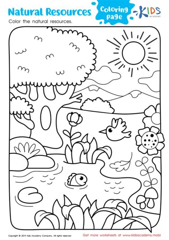 Free Coloring Worksheets for Grade 2 PDF – Printable Activity Sheets