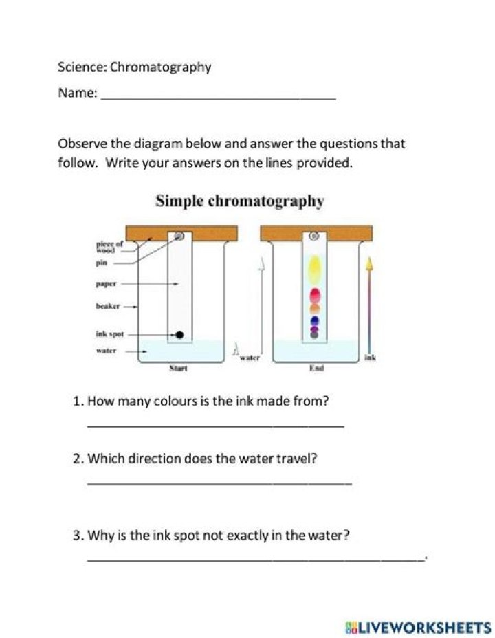 Column Chromatography Questions & Answers PDF: Expert Guide