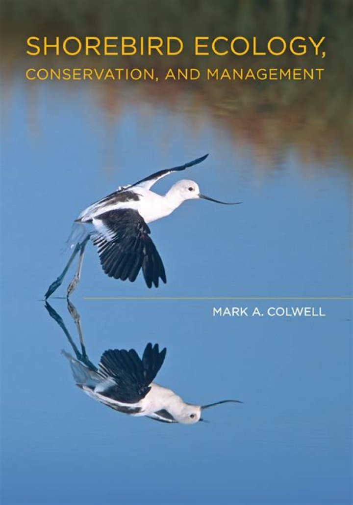 Colwell M 2010: Shorebird Ecology and Management in Berkeley, CA – PDF Guide