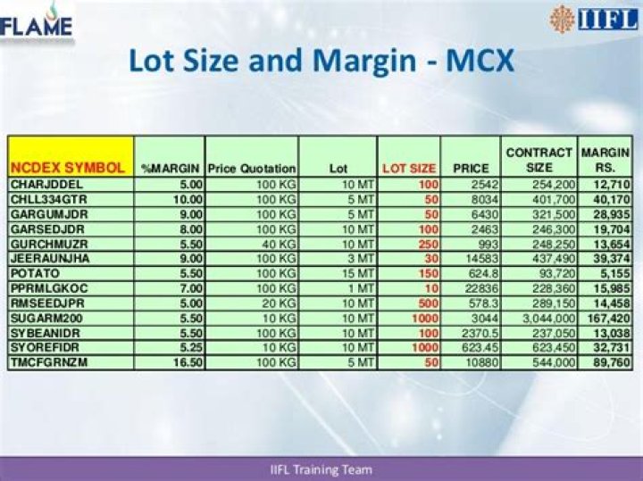 Commodity Lot Size List & Margin PDF: Key Data for Trading Success