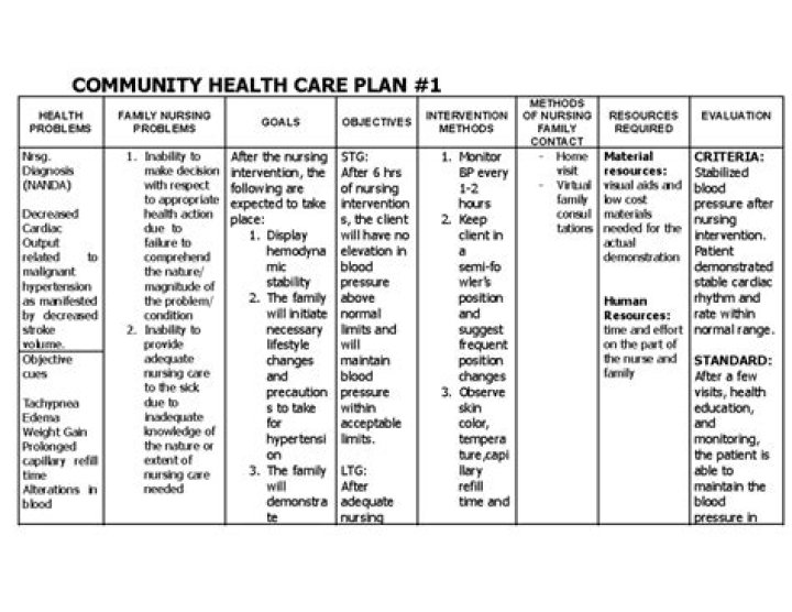 Community Health Nursing Care Plan PDF: Essential Guide for Nurses
