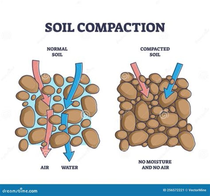 Soil Compaction Test Guide: Download Free PDF Report
