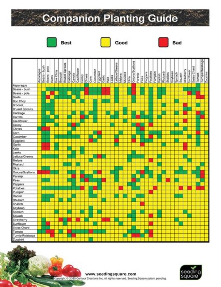 Complete Companion Planting List PDF for Healthy Garden Growth