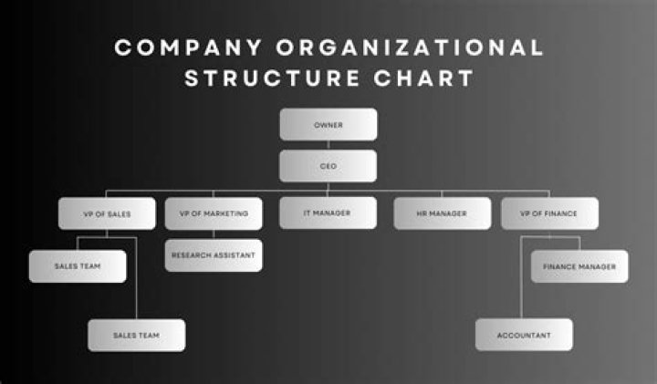 Optimal Company Management Structure PDF Guide