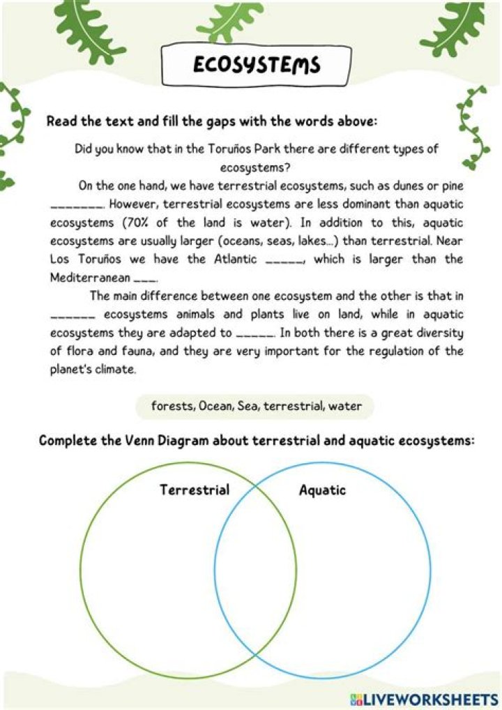 Competition in Ecosystems Worksheet PDF – Practice Environmental Science