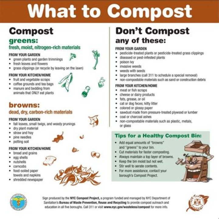 Compost List PDF: Complete Guide for Home Gardeners