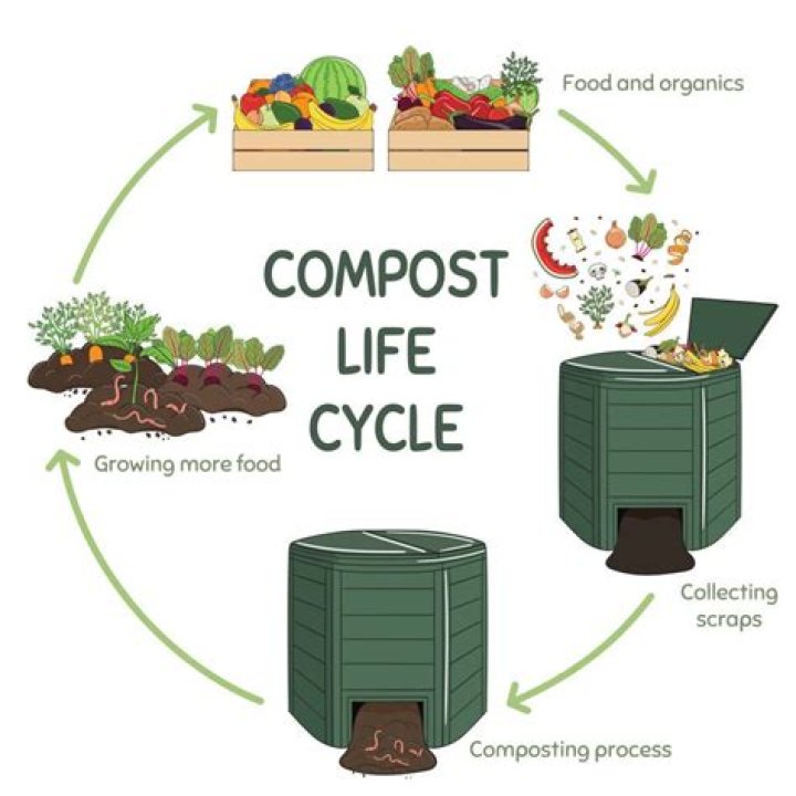 Composting in Solid Waste Management: A Comprehensive PDF Guide